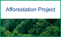 Afforestation Project